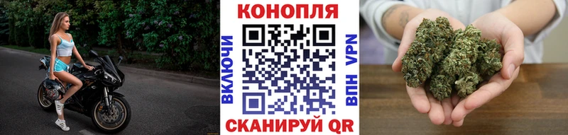 Купить  Арамиль  Канабис White Widow 